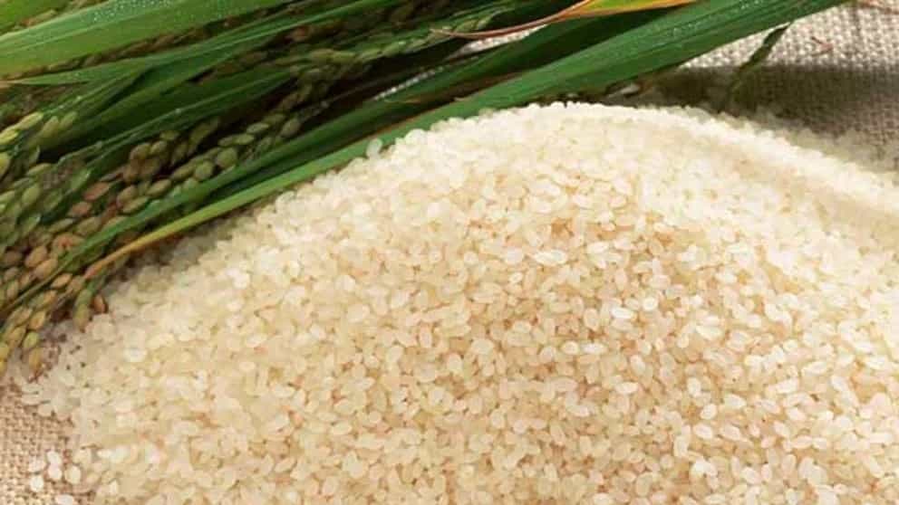 Properties of amber rice
